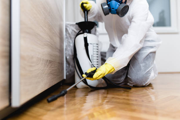 Cloverly, MD Pest Control Company
