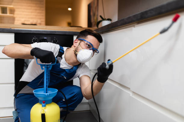 Best Pest Prevention Services  in Cloverly, MD