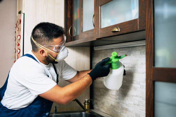 Best Termite Control Services  in Cloverly, MD