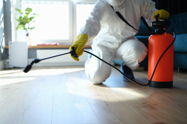 Best Mosquito Control Services  in Cloverly, MD