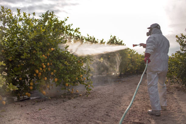 Best Pest Inspection Near Me  in Cloverly, MD