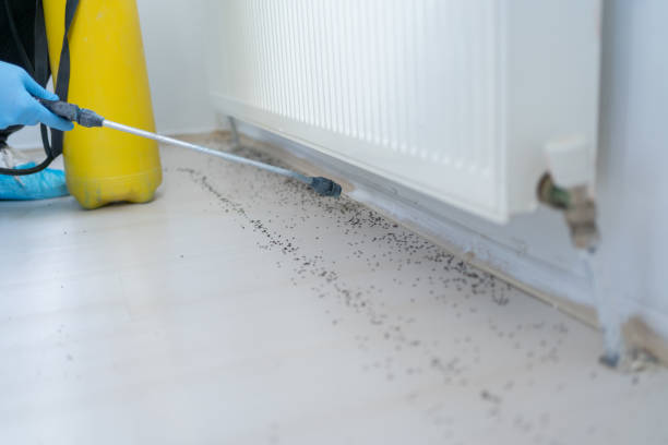 Best Exterminator Services  in Cloverly, MD