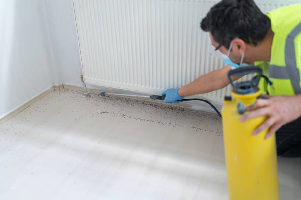 Pest Control Cost in Cloverly, MD