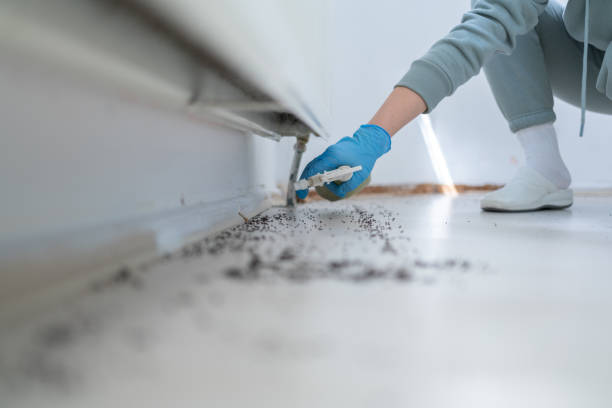 Best Pest Removal Services  in Cloverly, MD