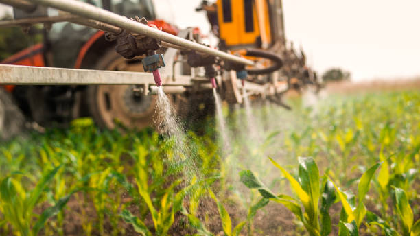 Best Commercial Pest Control Services  in Cloverly, MD