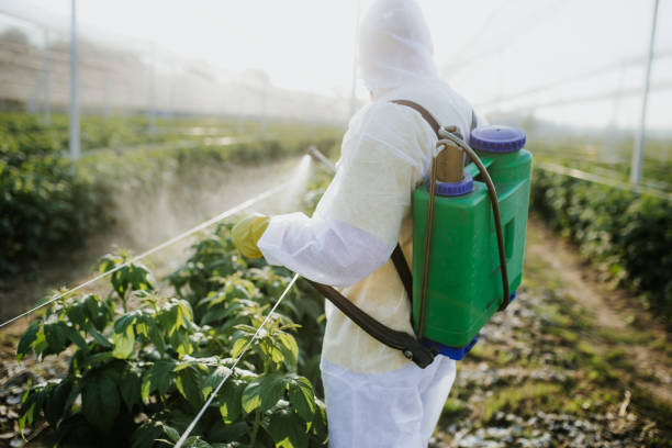 Best Exterminator Services  in Cloverly, MD